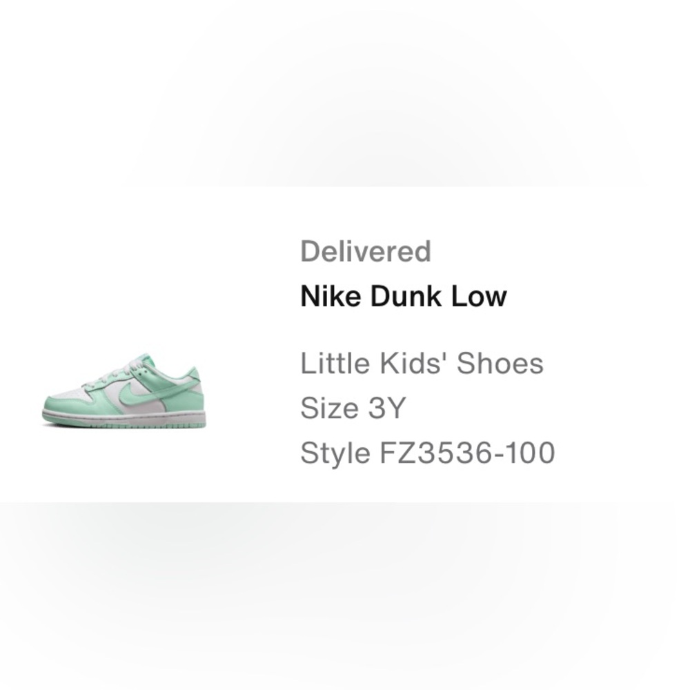 Nike dunk low authentic color: white mint foam.